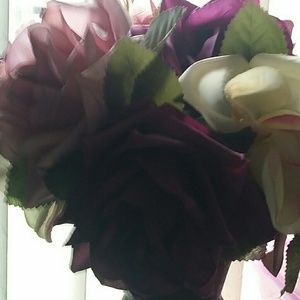 Meet your Posher, Junie