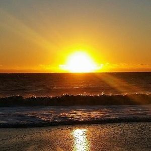 Meet your Posher, Olga