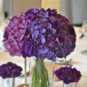 Meet your Posher, Natasha