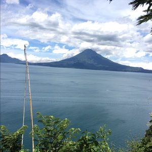 Meet your Posher, Alec