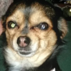 Meet your Posher, Paula