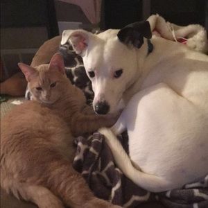 Meet your Posher, Jamie