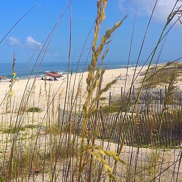 Meet your Posher, Tim - Picture 6 of 8