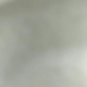 Meet your Posher, Diego