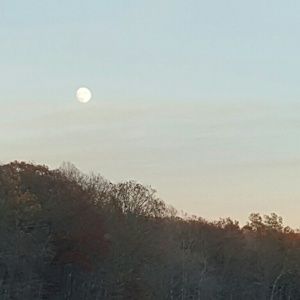 Meet your Posher, Anuli