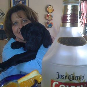 Meet your Posher, Lucy