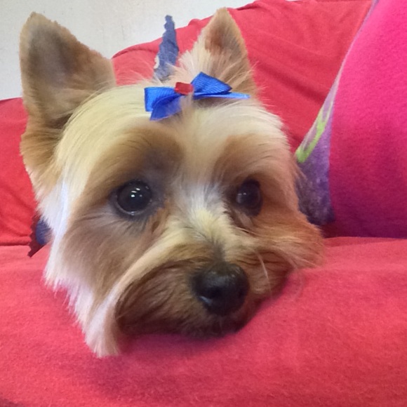 Meet your Posher, Brittany