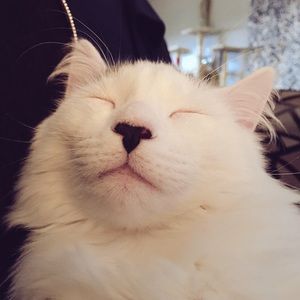 Meet your Posher, Nick