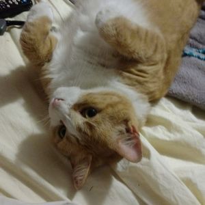 Meet your Posher, Marvin