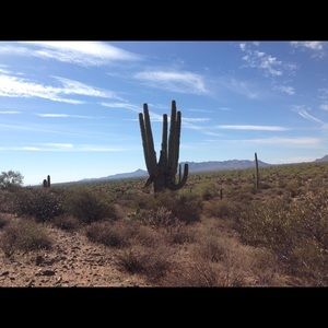 Meet your Posher, Dawn