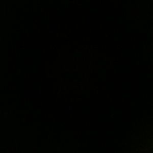 Meet your Posher, Lil