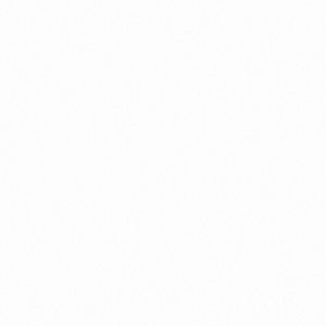 Meet your Posher, Nagib