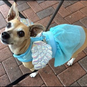 Meet your Posher, Nancy