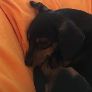 Meet your Posher, Tina