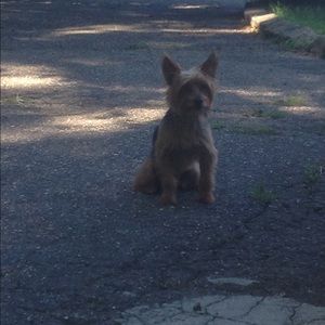 Meet your Posher, Liz