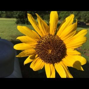 Meet your Posher, Robin