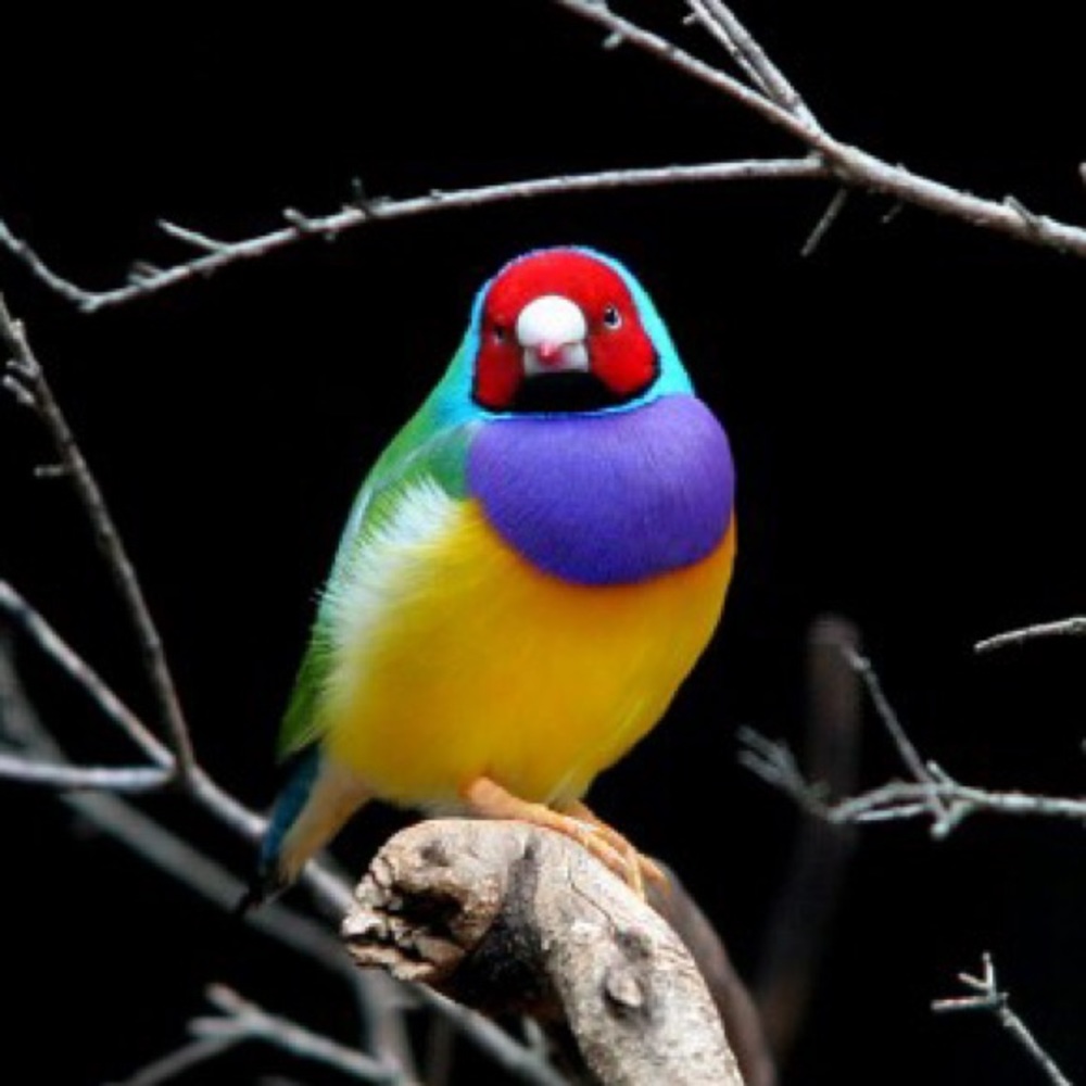 Meet your Posher, Katherine