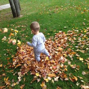 Meet your Posher, Besy