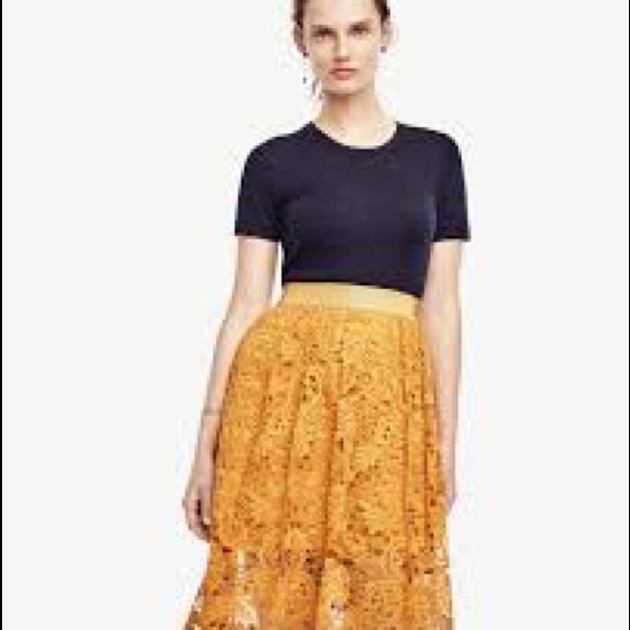 Ann taylor skirt