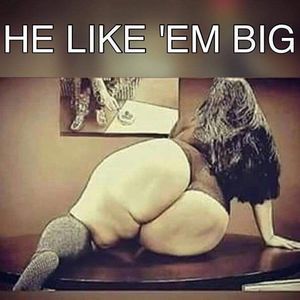 Meet your Posher, Roy