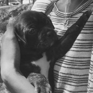 Meet your Posher, Rebecca