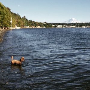 Meet your Posher, Marni