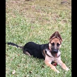 Meet your Posher, Beverly