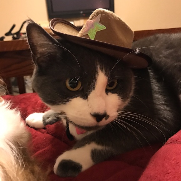 Meet your Posher, Collin