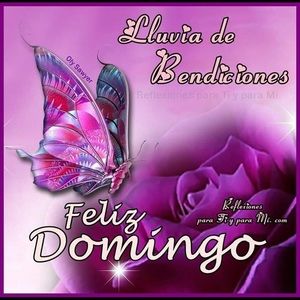 Meet your Posher, Mariela