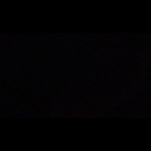 Meet your Posher, Dominique