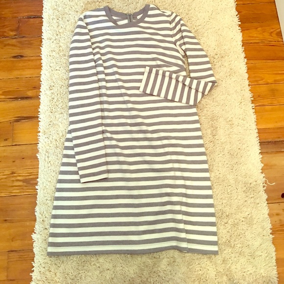 Gap Maternity Dress