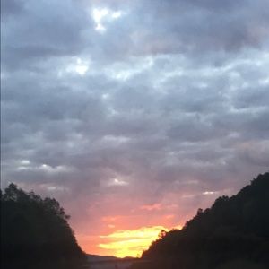 Meet your Posher, Autumn