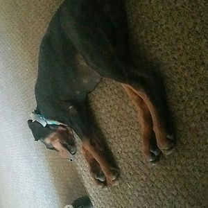 Meet your Posher, Giovanni