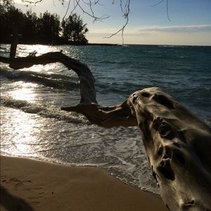 Meet your Posher, Mai see