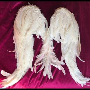 Victoria's Secret Angel Wings