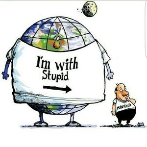 Meet your Posher, Jamal