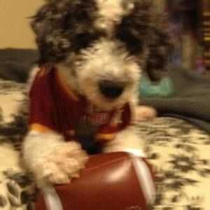 Meet your Posher, Trish