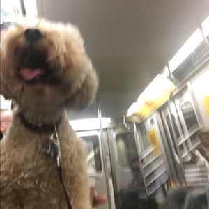 Meet your Posher, Mindy