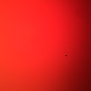 Meet your Posher, Cameron