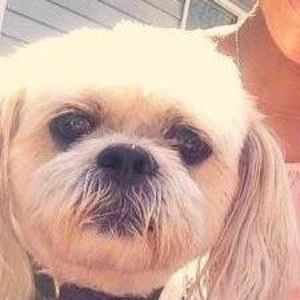 Meet your Posher, Adrienne