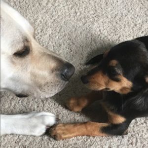 Meet your Posher, Kimberly