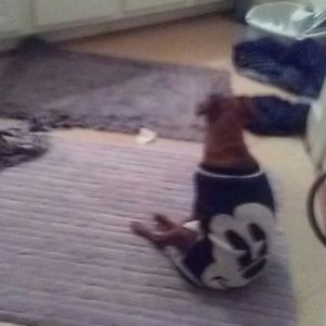 Meet your Posher, Sakara