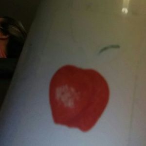 Meet your Posher, Samuel