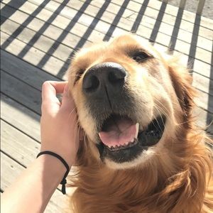 Meet your Posher, Avanlee