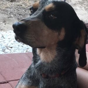 Meet your Posher, Kaleb