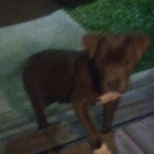 Meet your Posher, Laura