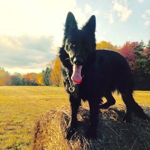 Meet your Posher, Maria