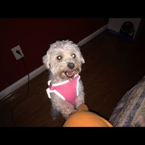 Meet your Posher, Sandra