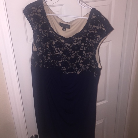 Elegant Navy Blue with Nude Undertone