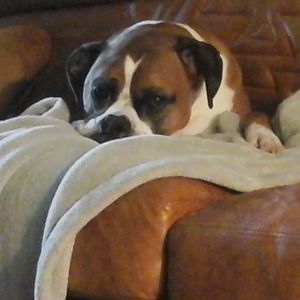 Meet your Posher, Jackie